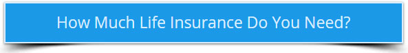 Life Insurance